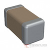 1206Y2500271KXR Image