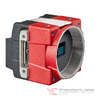 13625 Image